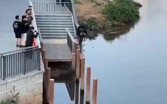 Paalspringer zet bijna een record neer