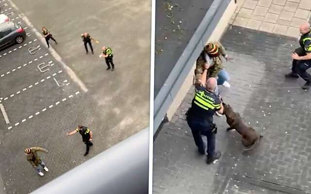 Grote politieactie in Enschede: waarschuwingsschot gelost, politiehond en tasers ingezet