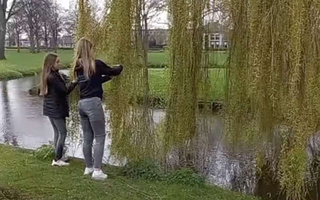 Jane en Jane gaan slingerend de sloot in