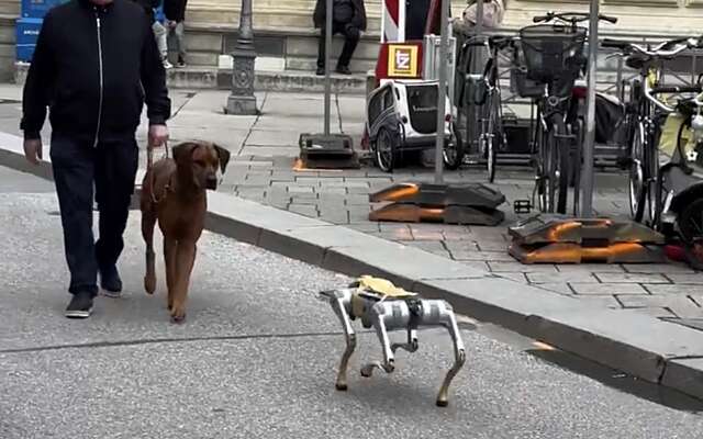 Hond ontdekt robothond in München