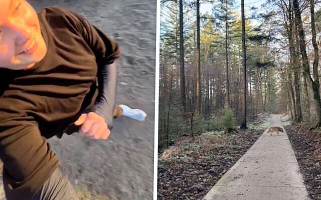 Vrouw achtervolgd door een wolf tijdens rondje hardlopen op de Veluwe