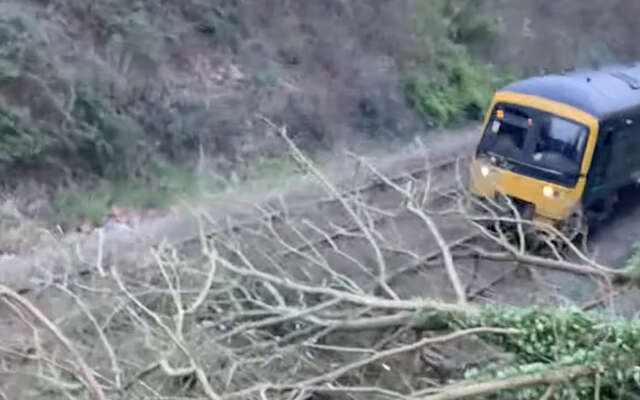 Trein jankt dwars door boom die op het spoor is gevallen