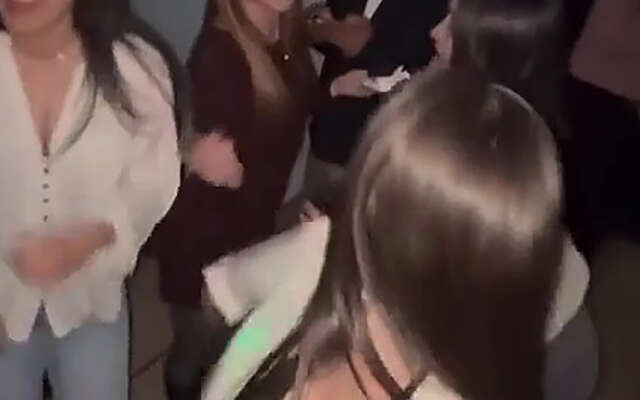Opgewonden hond viert zijn eigen feestje