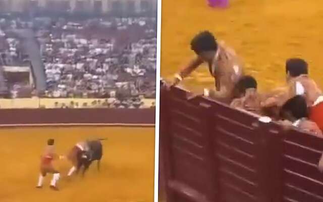 22-jarige Portugese stierenvechter overlijdt na confrontatie met stier in arena Lissabon