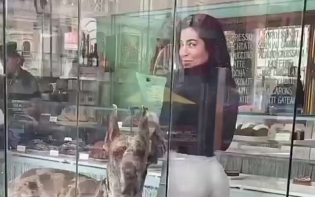 Das potverdomme een mooie hond!