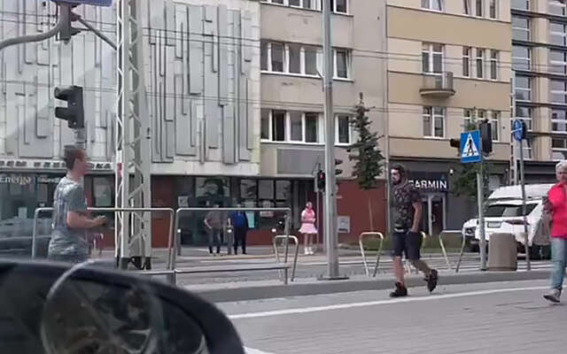 Hey, wat heb ik daar voor een vogeltje gespot?