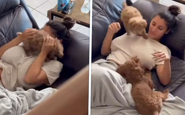 Ze is vandaag lekker met d'r puppies aan het spelen