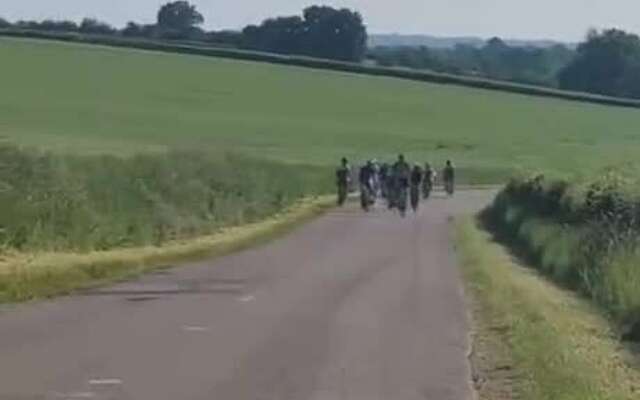 Groepje wielrenners omver gebeukt door wilde zwijnen