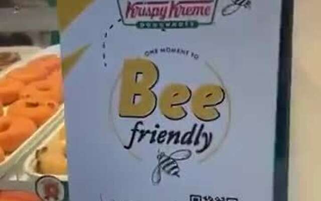 Bee friendly