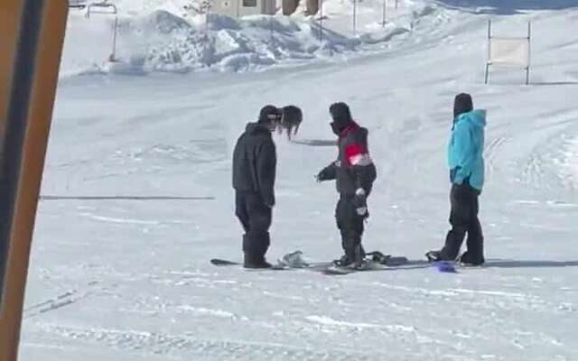 Wild zwijn probeert een aantal snowboards te stelen